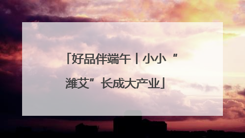 好品伴端午丨小小“潍艾”长成大产业