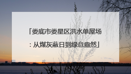 娄底市娄星区洪水单屋场：从煤灰蔽日到绿意盎然