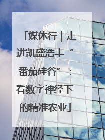 媒体行｜走进凯盛浩丰“番茄硅谷”：看数字神经下的精准农业