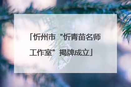 忻州市“忻青苗名师工作室”揭牌成立