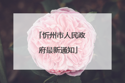 忻州市人民政府最新通知