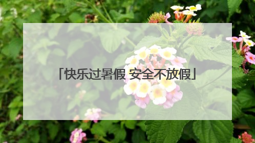 快乐过暑假 安全不放假