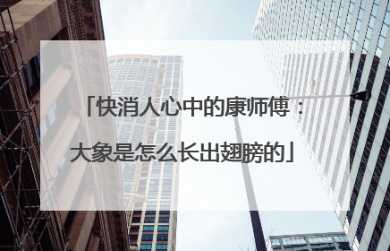 快消人心中的康师傅：大象是怎么长出翅膀的