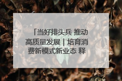 当好排头兵 推动高质量发展｜培育消费新模式新业态 释放经济增长新动能