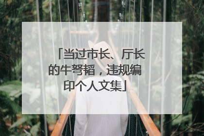 当过市长、厅长的牛弩韬，违规编印个人文集