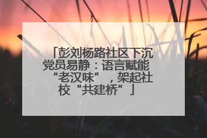彭刘杨路社区下沉党员易静：语言赋能“老汉味”，架起社校“共建桥”