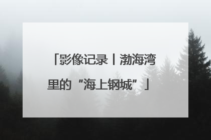 影像记录丨渤海湾里的“海上钢城”