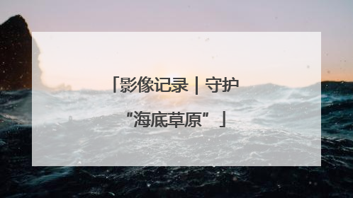 影像记录｜守护“海底草原”