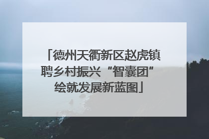 德州天衢新区赵虎镇聘乡村振兴“智囊团” 绘就发展新蓝图