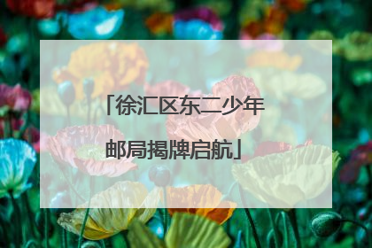 徐汇区东二少年邮局揭牌启航