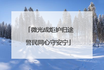 微光成炬护归途 警民同心守安宁