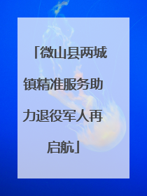 微山县两城镇精准服务助力退役军人再启航
