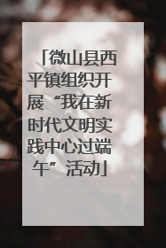 微山县西平镇组织开展“我在新时代文明实践中心过端午”活动