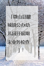 微山县驩城镇公办幼儿园开展期末业务检查