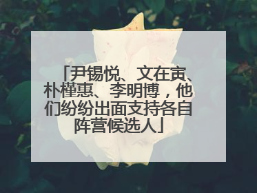 尹锡悦、文在寅、朴槿惠、李明博，他们纷纷出面支持各自阵营候选人