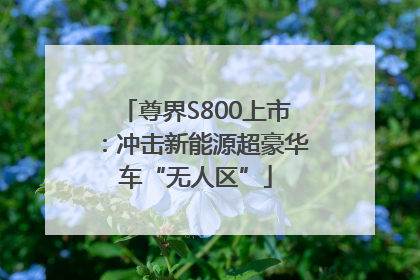 尊界S800上市：冲击新能源超豪华车“无人区”