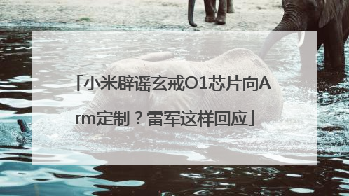 小米辟谣玄戒O1芯片向Arm定制？雷军这样回应