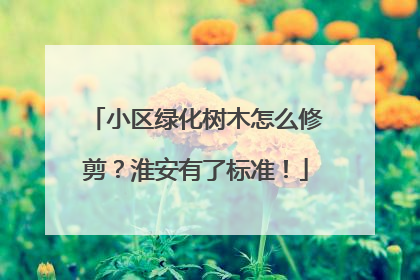 小区绿化树木怎么修剪？淮安有了标准！