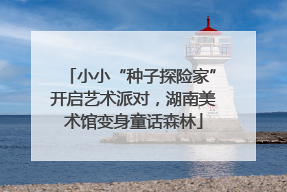 小小“种子探险家”开启艺术派对，湖南美术馆变身童话森林