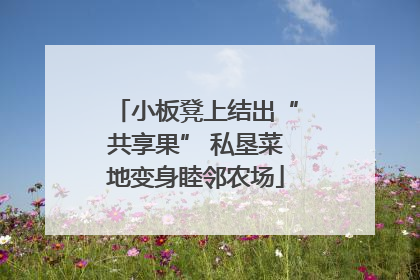 小板凳上结出“共享果” 私垦菜地变身睦邻农场