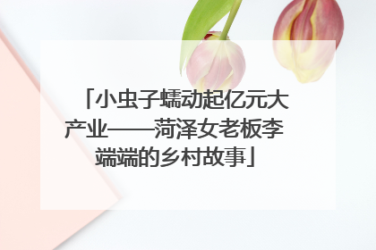 小虫子蠕动起亿元大产业——菏泽女老板李端端的乡村故事