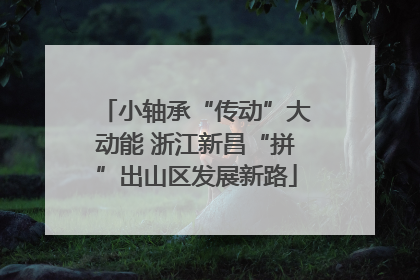 小轴承“传动”大动能 浙江新昌“拼”出山区发展新路