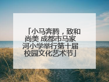 小马奔腾，致和尚美 成都市马家河小学举行第十届校园文化艺术节