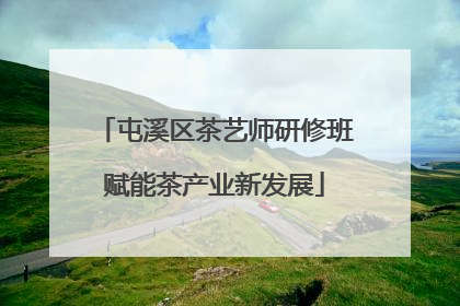 屯溪区茶艺师研修班赋能茶产业新发展