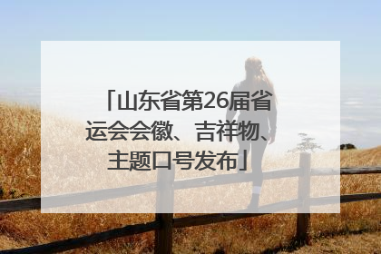山东省第26届省运会会徽、吉祥物、主题口号发布