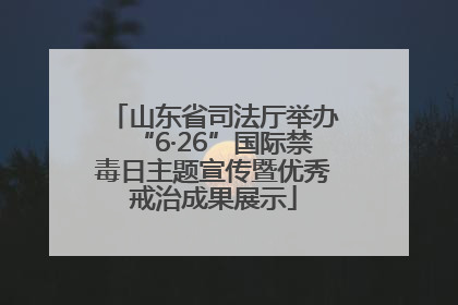 山东省司法厅举办“6·26”国际禁毒日主题宣传暨优秀戒治成果展示