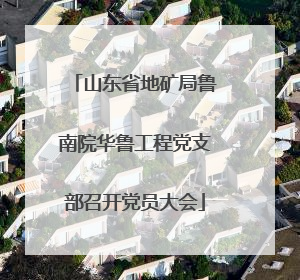 山东省地矿局鲁南院华鲁工程党支部召开党员大会