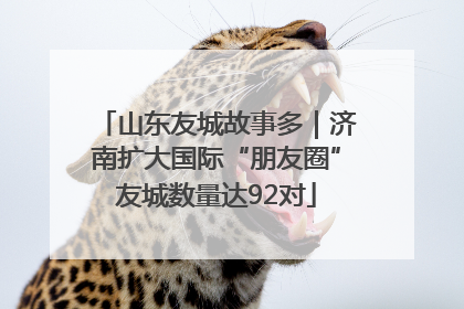 山东友城故事多｜济南扩大国际“朋友圈”友城数量达92对