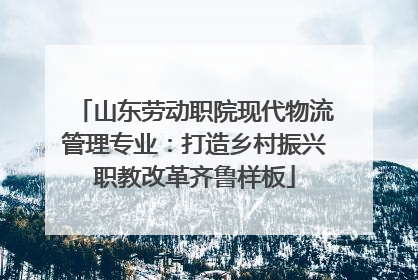 山东劳动职院现代物流管理专业：打造乡村振兴职教改革齐鲁样板