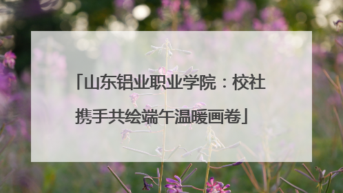 山东铝业职业学院：校社携手共绘端午温暖画卷