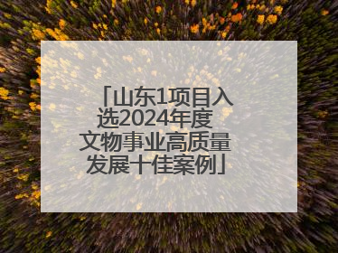 山东1项目入选2024年度文物事业高质量发展十佳案例