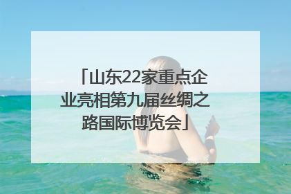 山东22家重点企业亮相第九届丝绸之路国际博览会