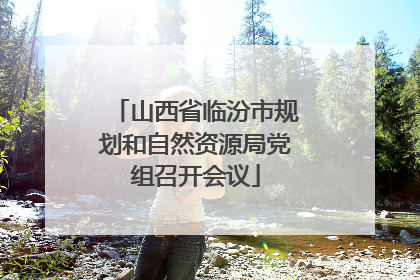 山西省临汾市规划和自然资源局党组召开会议