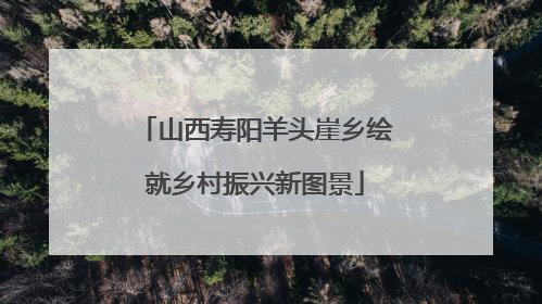 山西寿阳羊头崖乡绘就乡村振兴新图景