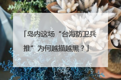 岛内这场“台海防卫兵推”为何越描越黑？