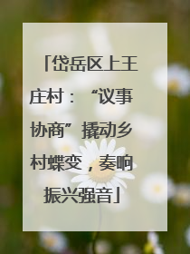 岱岳区上王庄村：“议事协商”撬动乡村蝶变，奏响振兴强音