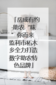 岳成有约·助农“味”你而来 监利市柘木乡全力打造数字助农特色品牌