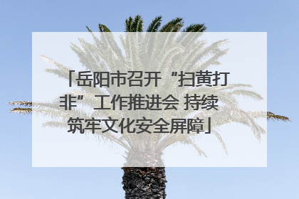 岳阳市召开“扫黄打非”工作推进会 持续筑牢文化安全屏障