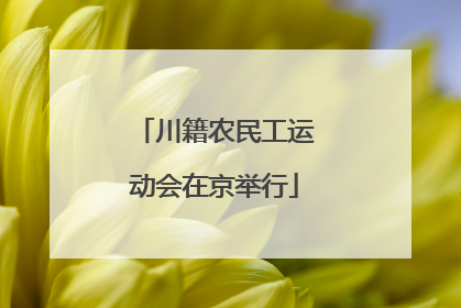 川籍农民工运动会在京举行