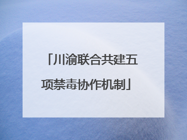川渝联合共建五项禁毒协作机制