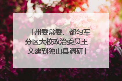 州委常委、都匀军分区大校政治委员王文建到独山县调研