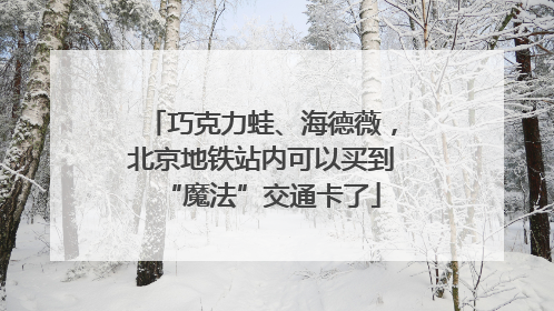 巧克力蛙、海德薇，北京地铁站内可以买到“魔法”交通卡了
