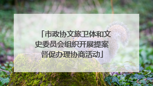 市政协文旅卫体和文史委员会组织开展提案督促办理协商活动