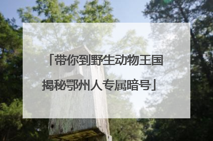 带你到野生动物王国揭秘鄂州人专属暗号
