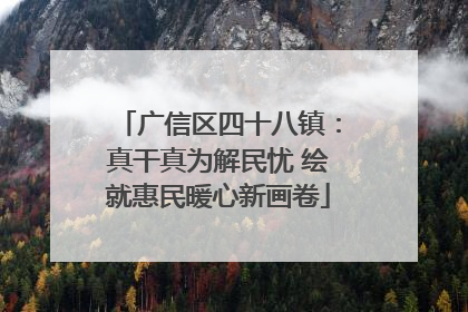 广信区四十八镇：真干真为解民忧 绘就惠民暖心新画卷