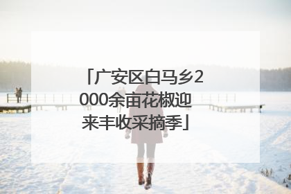 广安区白马乡2000余亩花椒迎来丰收采摘季